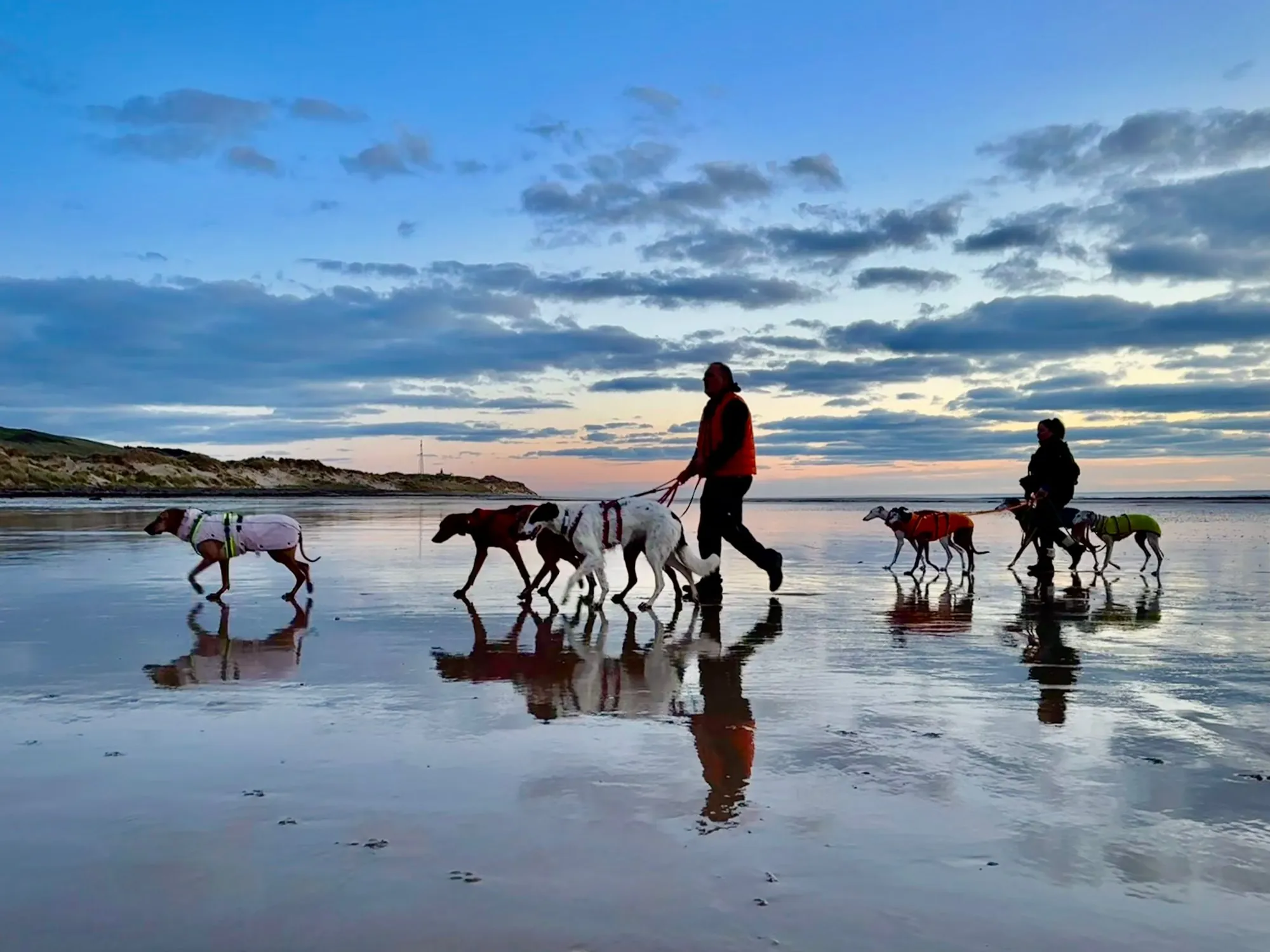 Spaziergang mit mehreren Hunden am weiten Strand des Cotentin bei Abendlicht