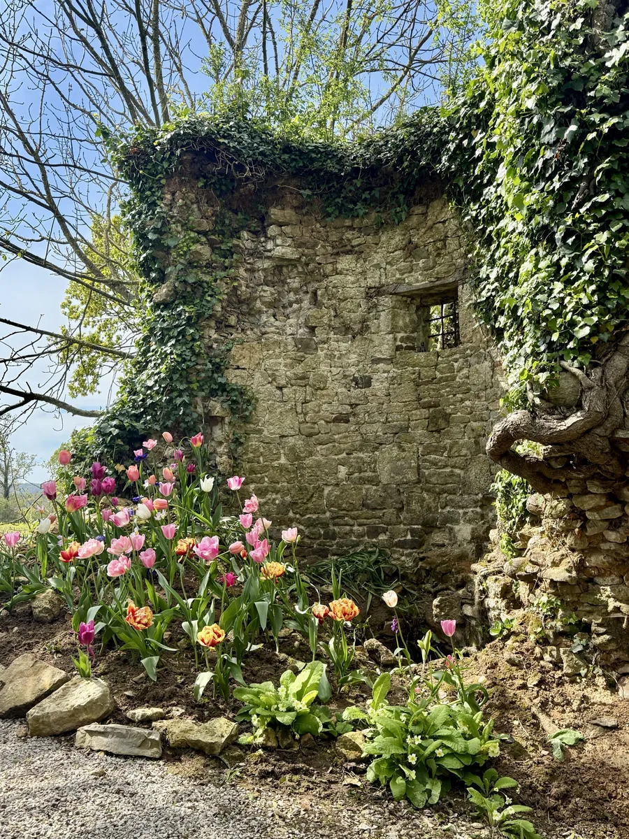 Die Ruine aus dem 13. Jahrhundert im Garten, umgeben von Blüten