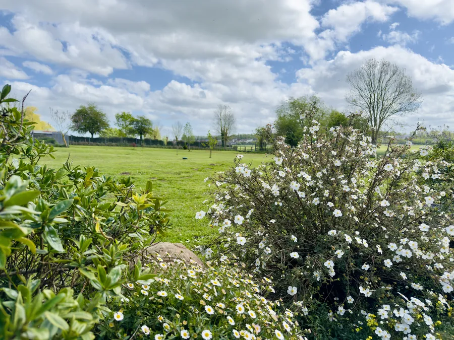 Rasenfläche und Baumbestand im Garten von Maison les Grues