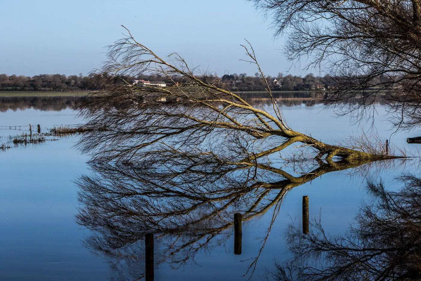 Die Marais des Cotentin im Winter, eine weite Seenlandschaft