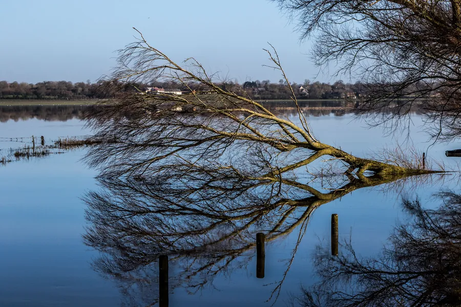 Die Marais des Cotentin im Winter, eine weite Seenlandschaft